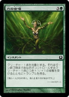 naokuroshop MTG [RTR][119][緑][C][JP][力の合唱/Chorus of Might] NM