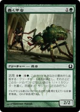 naokuroshop MTG [RTR][122][緑][C][JP][蠢く甲虫/Drudge Beetle] NM