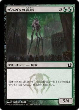 naokuroshop MTG [RTR][216][多][C][JP][ゴルガリの長脚/Golgari Longlegs] NM