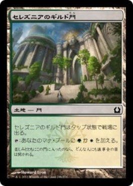 naokuroshop MTG [RTR][246][土地][C][JP][セレズニアのギルド門/Selesnya Guildgate] NM