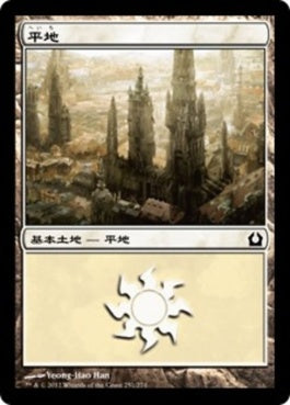 naokuroshop MTG [RTR][251][土地][C][JP][平地/Plains] NM