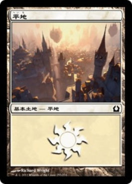 naokuroshop MTG [RTR][253][土地][C][JP][平地/Plains] NM