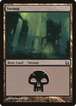 naokuroshop MTG [RTR][263][土地][C][EN][沼/Swamp] NM