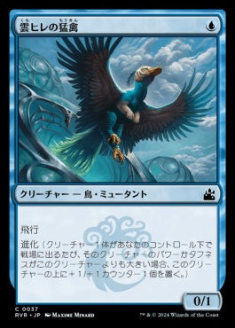 naokuroshop MTG [RVR][0037][青][C][JP][雲ヒレの猛禽/Cloudfin Raptor] NM