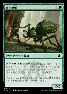 naokuroshop MTG [RVR][0136][緑][C][JP][蠢く甲虫/Drudge Beetle]（foil） NM