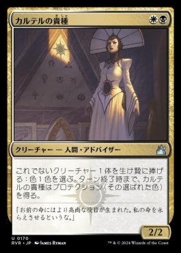 naokuroshop MTG [RVR][0170][多][U][JP][カルテルの貴種/Cartel Aristocrat]（foil） NM