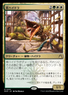 naokuroshop MTG [RVR][0210][多][R][JP][草ハイドラ/Phytohydra]（foil） NM