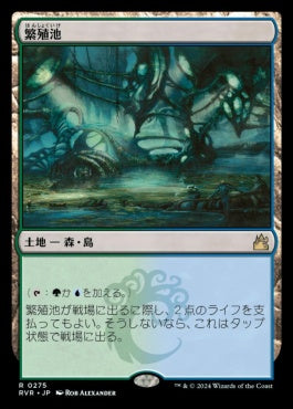 naokuroshop MTG [RVR][0275][土地][R][JP][繁殖池/Breeding Pool]（foil） NM