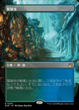 naokuroshop MTG [RVR][0293][土地][R][JP][繁殖池/Breeding Pool]（foil） NM