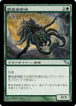 naokuroshop MTG [SHM][117][緑][U][JP][鬱後家蜘蛛/Gloomwidow] NM