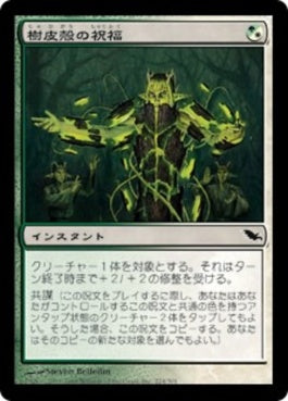 naokuroshop MTG [SHM][224][多][C][JP][樹皮殻の祝福/Barkshell Blessing] NM