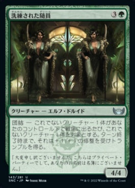 naokuroshop MTG [SNC][143][緑][U][JP][洗練された随員/Elegant Entourage] NM