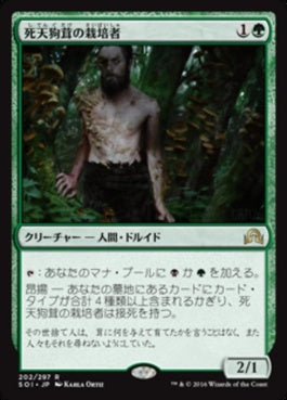 naokuroshop MTG [SOI][202][緑][R][JP][死天狗茸の栽培者/Deathcap Cultivator] NM