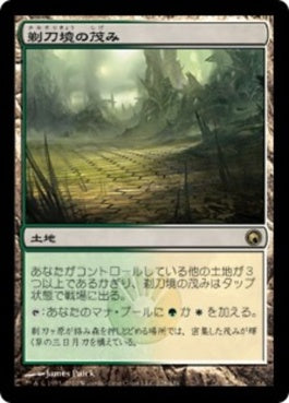 naokuroshop MTG [SOM][228][土地][R][JP][剃刀境の茂み/Razorverge Thicket] NM