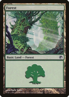 naokuroshop MTG [SOM][246][土地][C][EN][森/Forest] NM