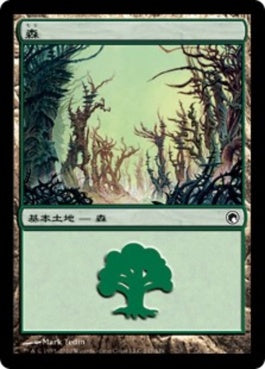 naokuroshop MTG [SOM][247][土地][C][JP][森/Forest] NM