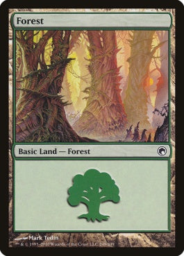 naokuroshop MTG [SOM][249][土地][C][EN][森/Forest] NM