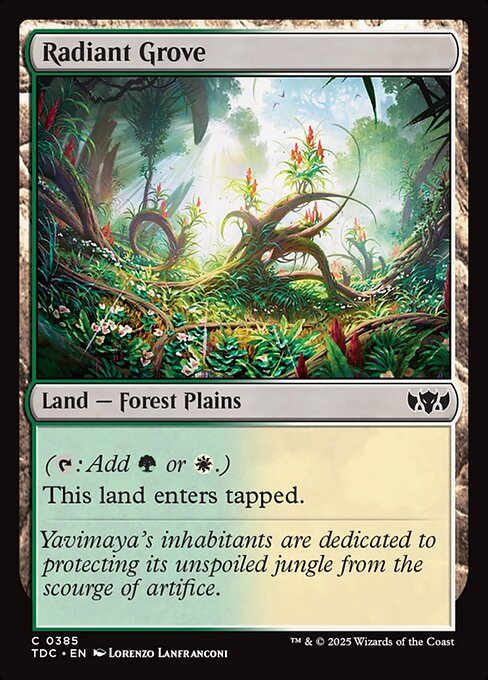 naokuroshop MTG [TDC][0385][土地][C][EN][光輝の木立ち/Radiant Grove] NM