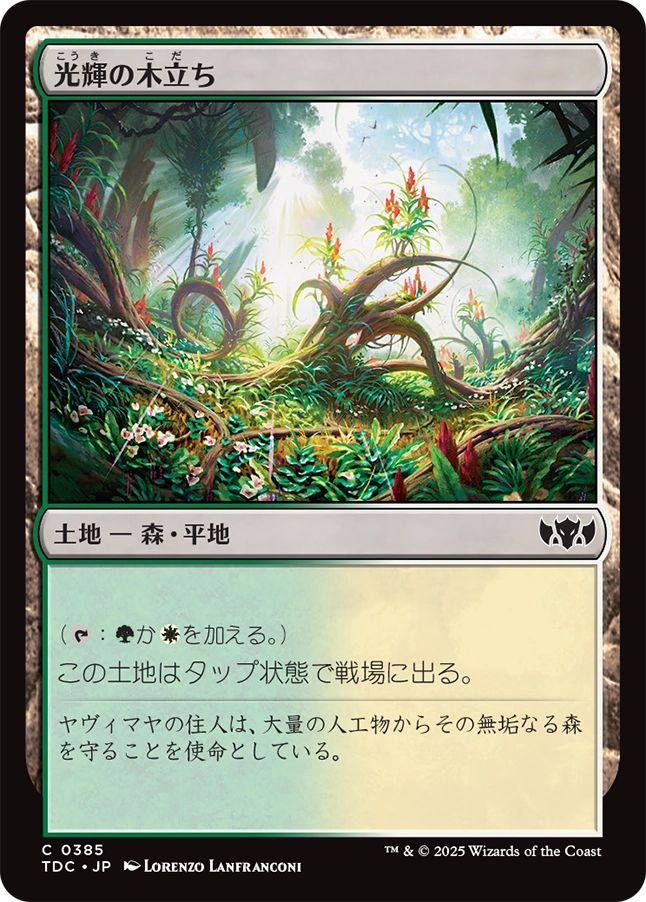 naokuroshop MTG [TDC][0385][土地][C][JP][光輝の木立ち/Radiant Grove] NM