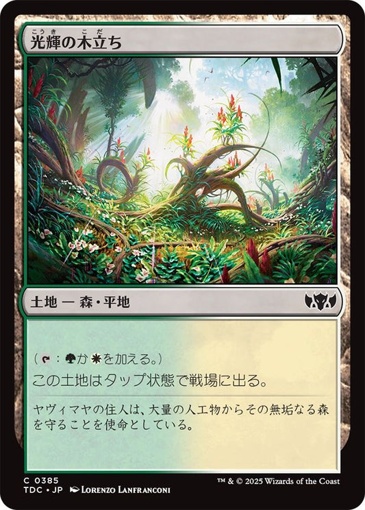 naokuroshop MTG [TDC][0385][土地][C][JP][光輝の木立ち/Radiant Grove] NM