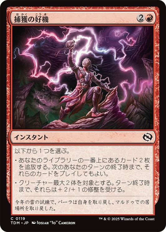 naokuroshop MTG [TDM][0119][赤][C][JP][捕獲の好機/Seize Opportunity]（foil） NM