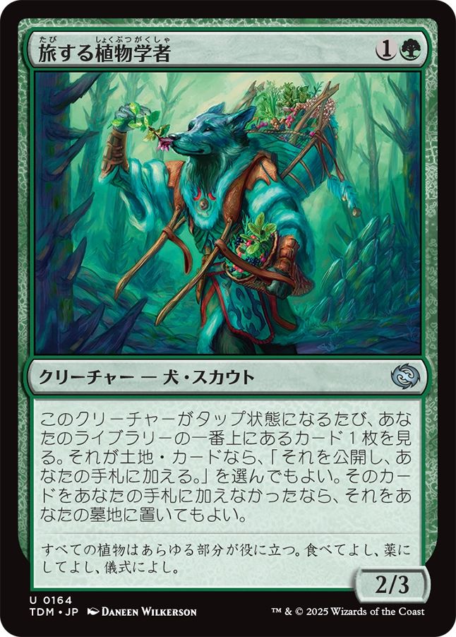 naokuroshop MTG [TDM][0164][緑][U][JP][旅する植物学者/Traveling Botanist]（foil） NM