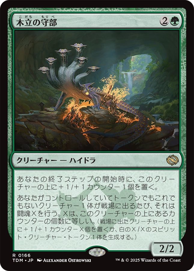 naokuroshop MTG [TDM][0166][緑][R][JP][木立の守部/Warden of the Grove]（foil） NM