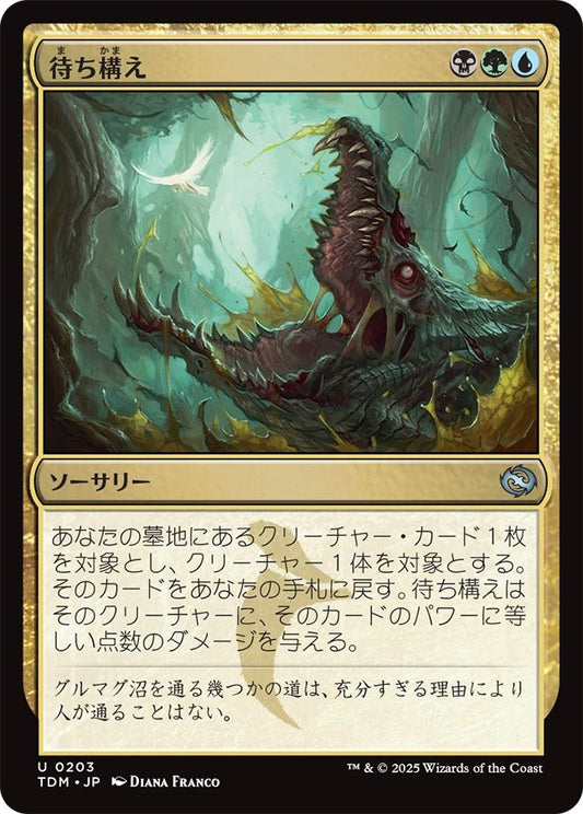 naokuroshop MTG [TDM][0203][多][U][JP][待ち構え/Lie in Wait] NM