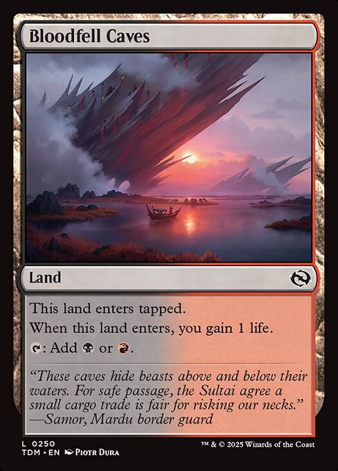 naokuroshop MTG [TDM][0250][土地][C][EN][血溜まりの洞窟/Bloodfell Caves]（foil） NM