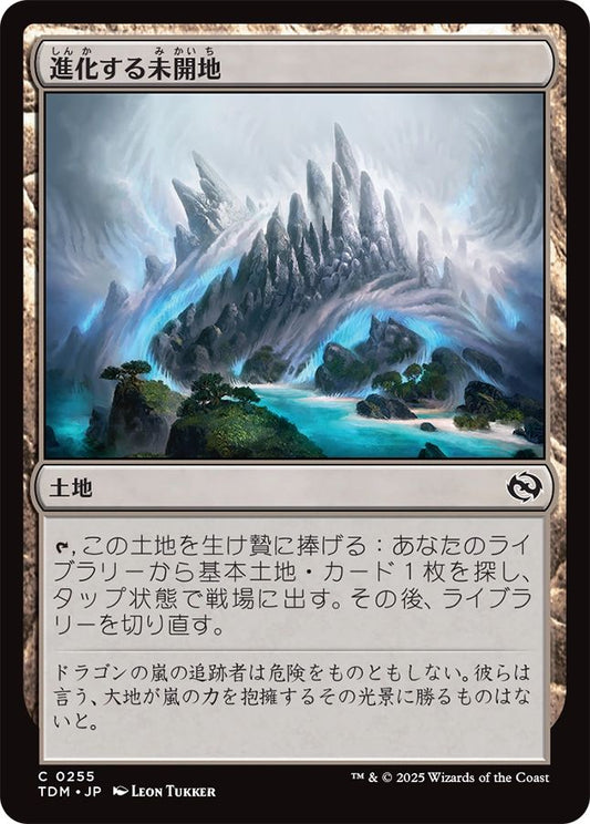 naokuroshop MTG [TDM][0255][土地][C][JP][進化する未開地/Evolving Wilds]（foil） NM