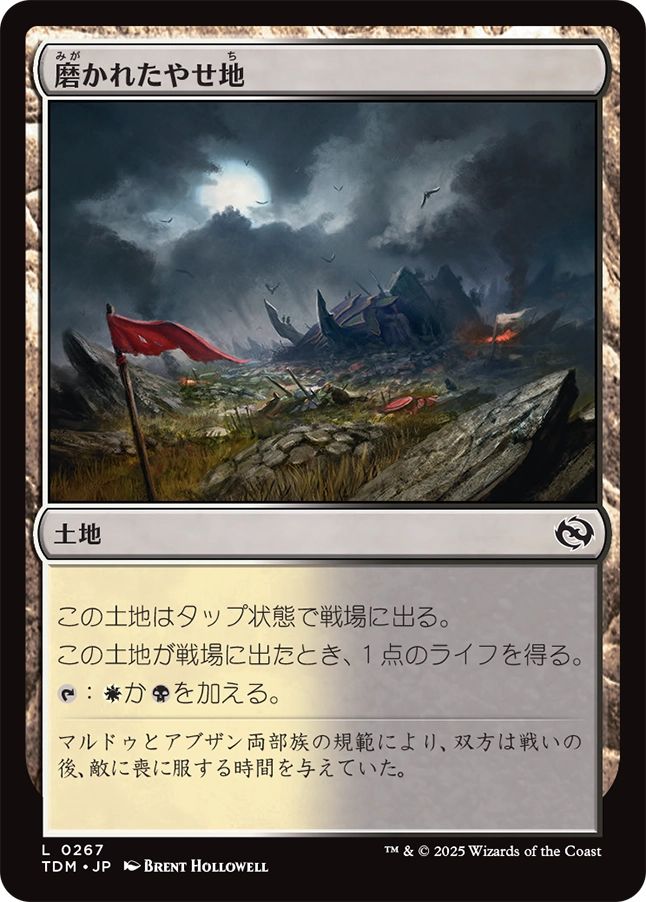 naokuroshop MTG [TDM][0267][土地][C][JP][磨かれたやせ地/Scoured Barrens]（foil） NM