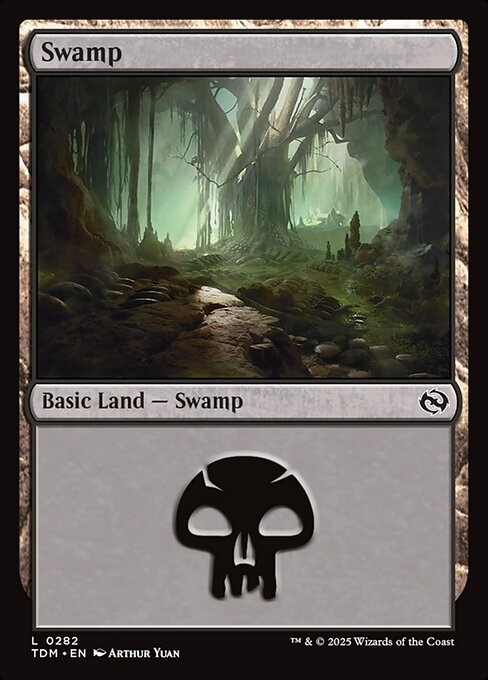 naokuroshop MTG [TDM][0282][土地][C][EN][沼/Swamp] NM