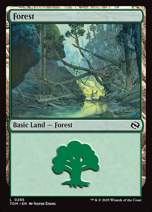 naokuroshop MTG [TDM][0285][土地][C][EN][森/Forest] NM
