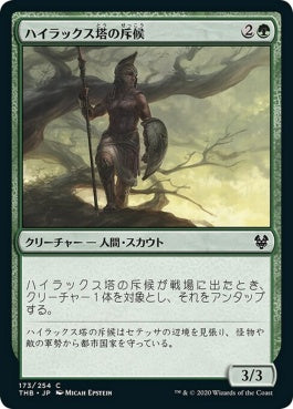 naokuroshop MTG [THB][173][緑][C][JP][ハイラックス塔の斥候/Hyrax Tower Scout] NM