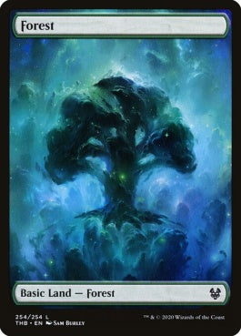 naokuroshop MTG [THB][254][土地][C][EN][森/Forest]（foil） NM