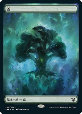 naokuroshop MTG [THB][254][土地][C][JP][森/Forest] NM