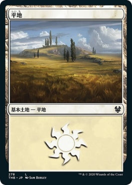 naokuroshop MTG [THB][278][土地][C][JP][平地/Plains]（foil） NM