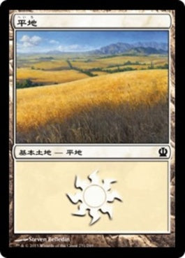 naokuroshop MTG [THS][231][土地][C][JP][平地/Plains] NM