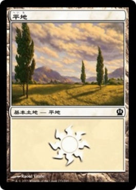 naokuroshop MTG [THS][233][土地][C][JP][平地/Plains] NM