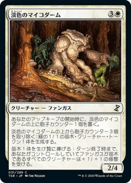 naokuroshop MTG [TSR][031][白][C][JP][淡色のマイコダーム/Pallid Mycoderm] NM