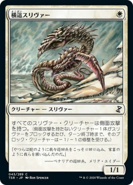 naokuroshop MTG [TSR][043][白][C][JP][横這スリヴァー/Sidewinder Sliver] NM