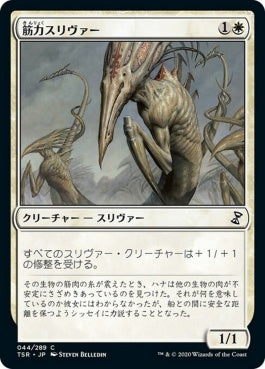 naokuroshop MTG [TSR][044][白][C][JP][筋力スリヴァー/Sinew Sliver] NM