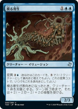 naokuroshop MTG [TSR][085][青][U][JP][模る寄生/Shaper Parasite]（foil） NM