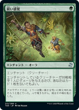 naokuroshop MTG [TSR][213][緑][U][JP][鋭い感覚/Keen Sense]（foil） NM