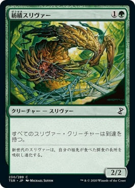 naokuroshop MTG [TSR][230][緑][C][JP][紡績スリヴァー/Spinneret Sliver]（foil） NM