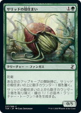 naokuroshop MTG [TSR][237][緑][C][JP][サリッドの殻住まい/Thallid Shell-Dweller]（foil） NM