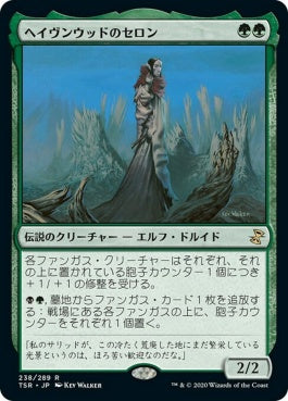 naokuroshop MTG [TSR][238][緑][R][JP][ヘイヴンウッドのセロン/Thelon of Havenwood]（foil） NM