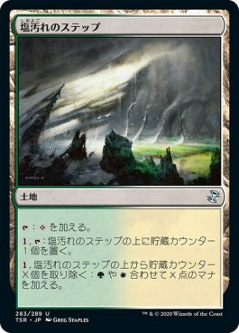 naokuroshop MTG [TSR][283][土地][U][JP][塩汚れのステップ/Saltcrusted Steppe]（foil） NM