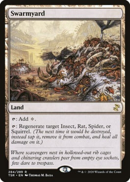 naokuroshop MTG [TSR][284][土地][R][EN][群がりの庭/Swarmyard]（foil） NM