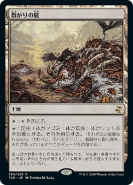 naokuroshop MTG [TSR][284][土地][R][JP][群がりの庭/Swarmyard] NM